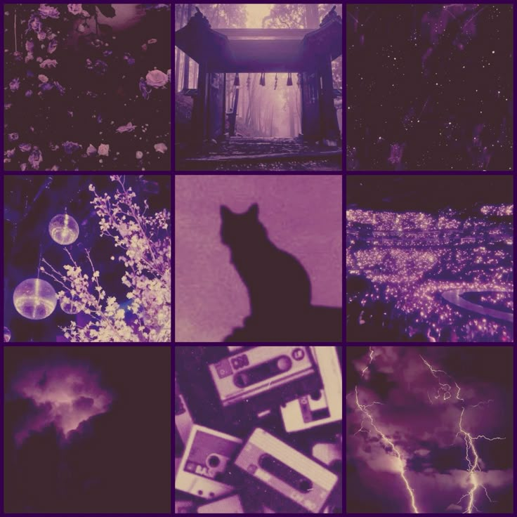 purple night
